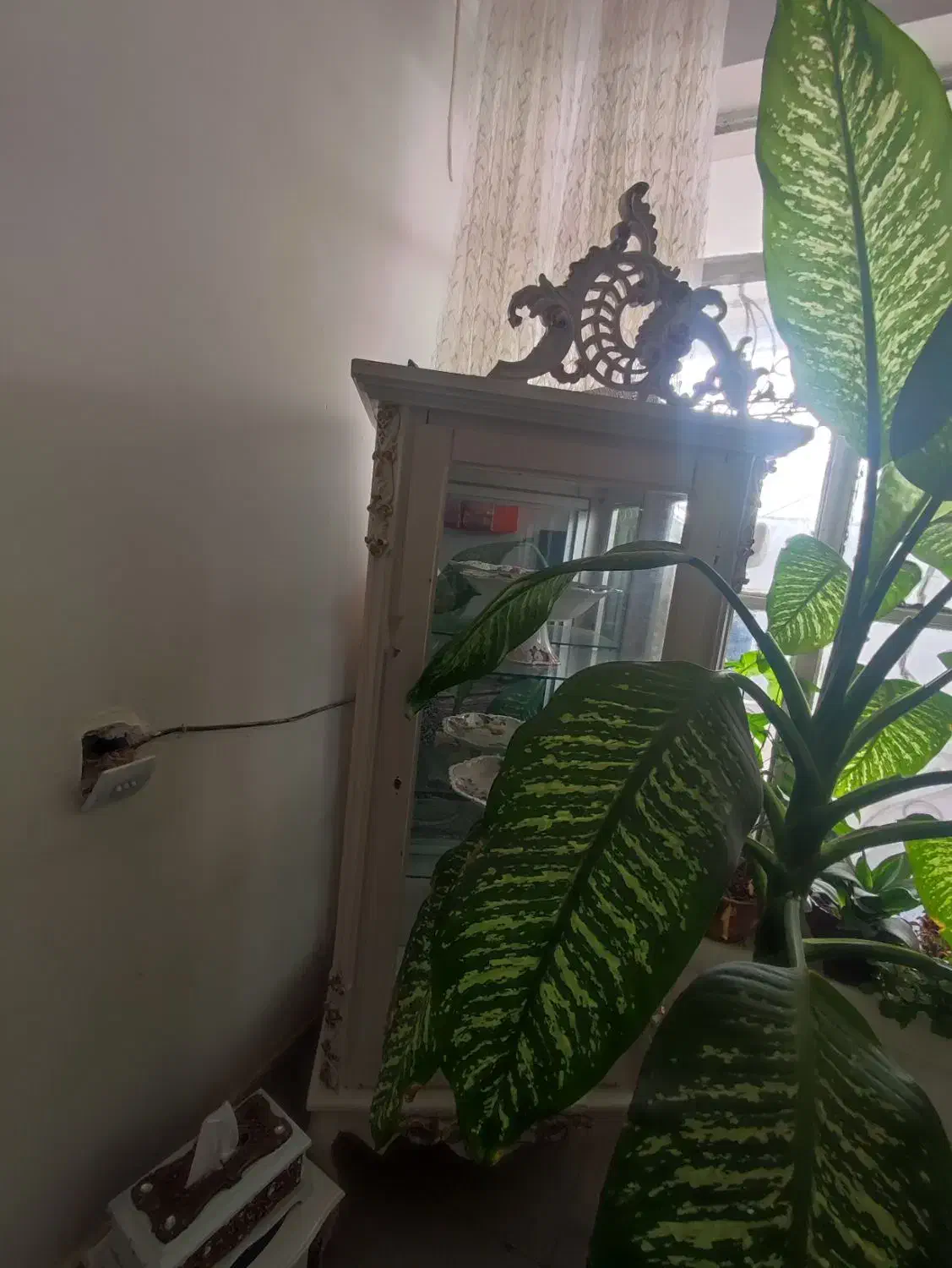 کمد لباس گنجه|جاکفشی، کمد، دراور|فیروزه, |دیوار