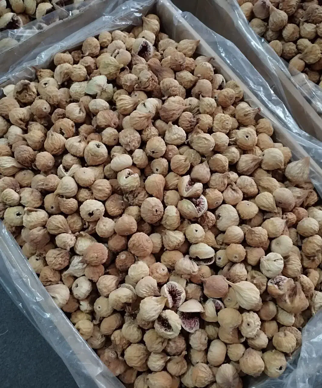 فروش انجیرخشک|عمدهفروشی|شیراز, کوشک میدان|دیوار