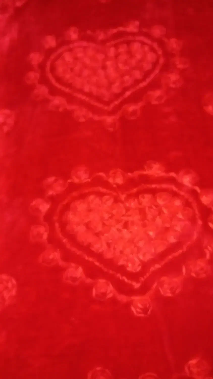 پتو|رختخواب، بالش، پتو|فردیس, منظریه|دیوار