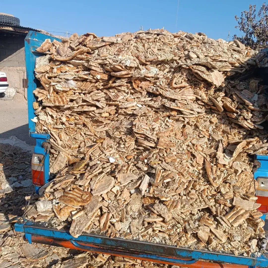 نان خشک|لوازم جانبی حیوانات|تربت جام, جلگه موسی آباد|دیوار