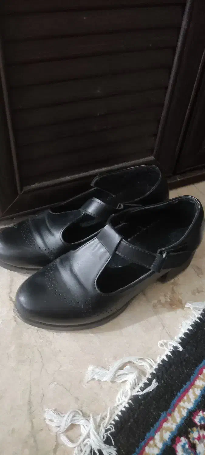 کفش زنانه درحدنو|کیف، کفش، کمربند|آستانه اشرفیه, |دیوار