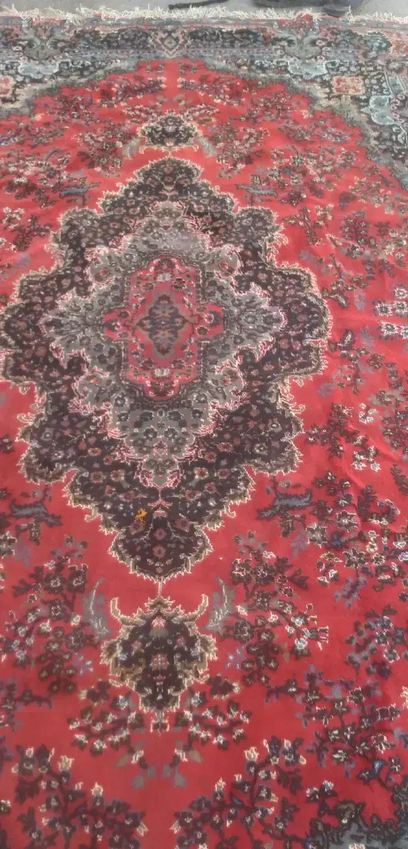 فرش ۶ متری نخ|فرش|گرگان, |دیوار