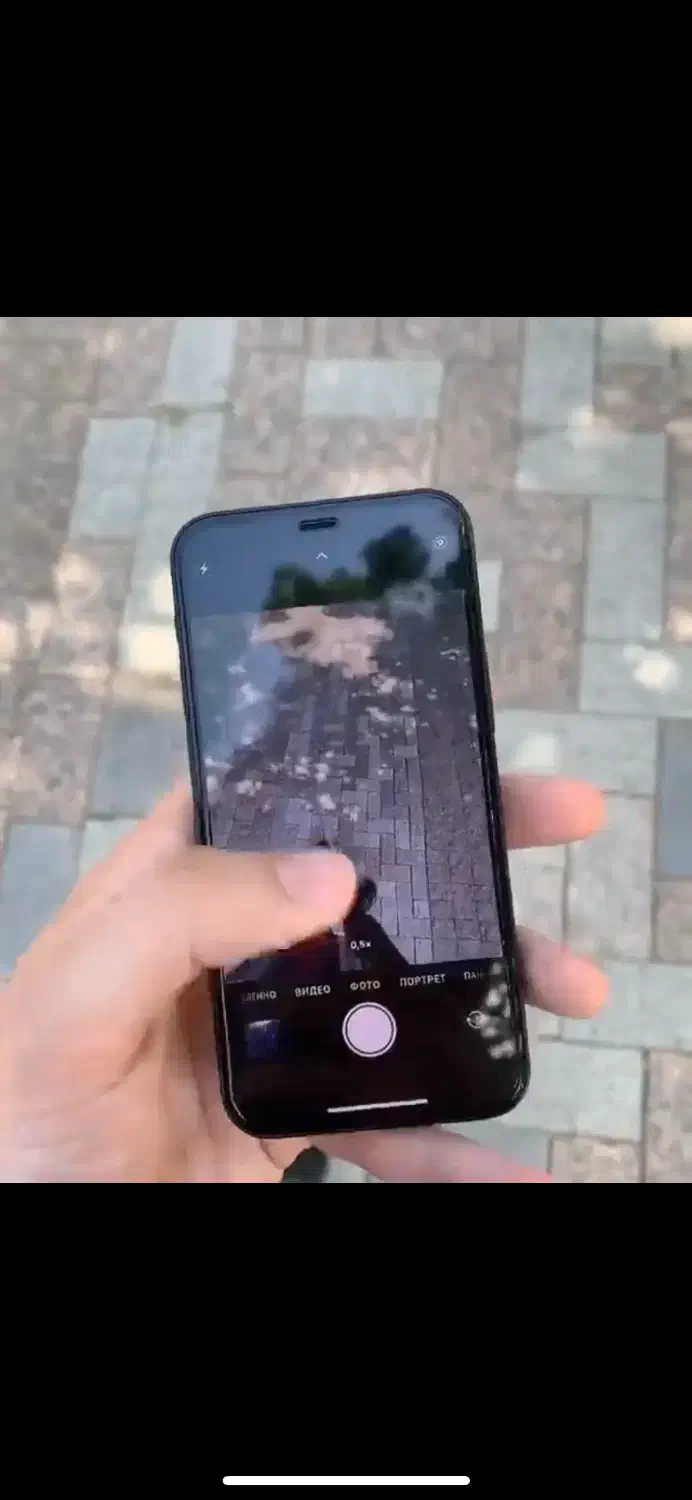 iphone 12 mini معاوضه|موبایل|مشهد, سجاد شهر|دیوار