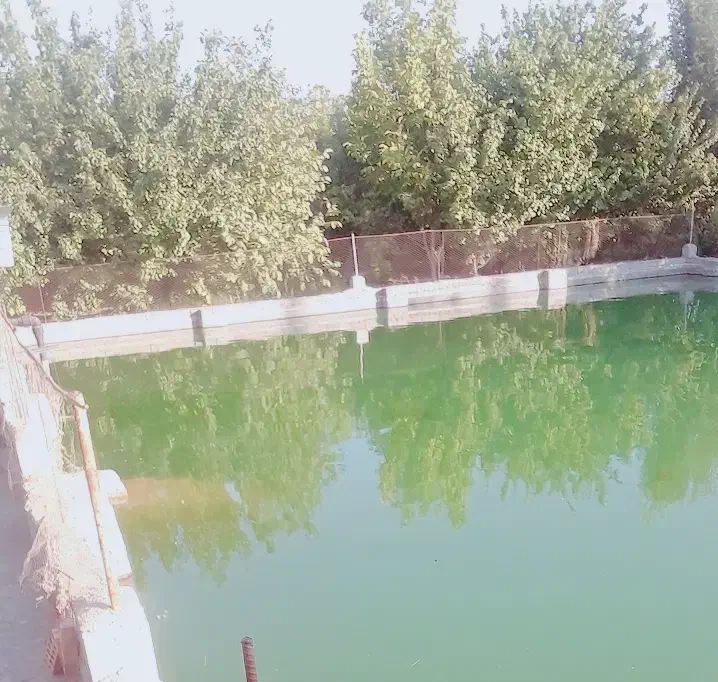 آب قنات|فروش دفتر صنعتی، کشاورزی، تجاری|آباده, |دیوار