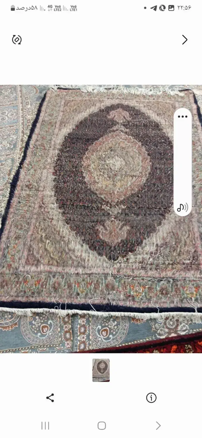 فرش طبیعی|فرش|اردبیل, |دیوار