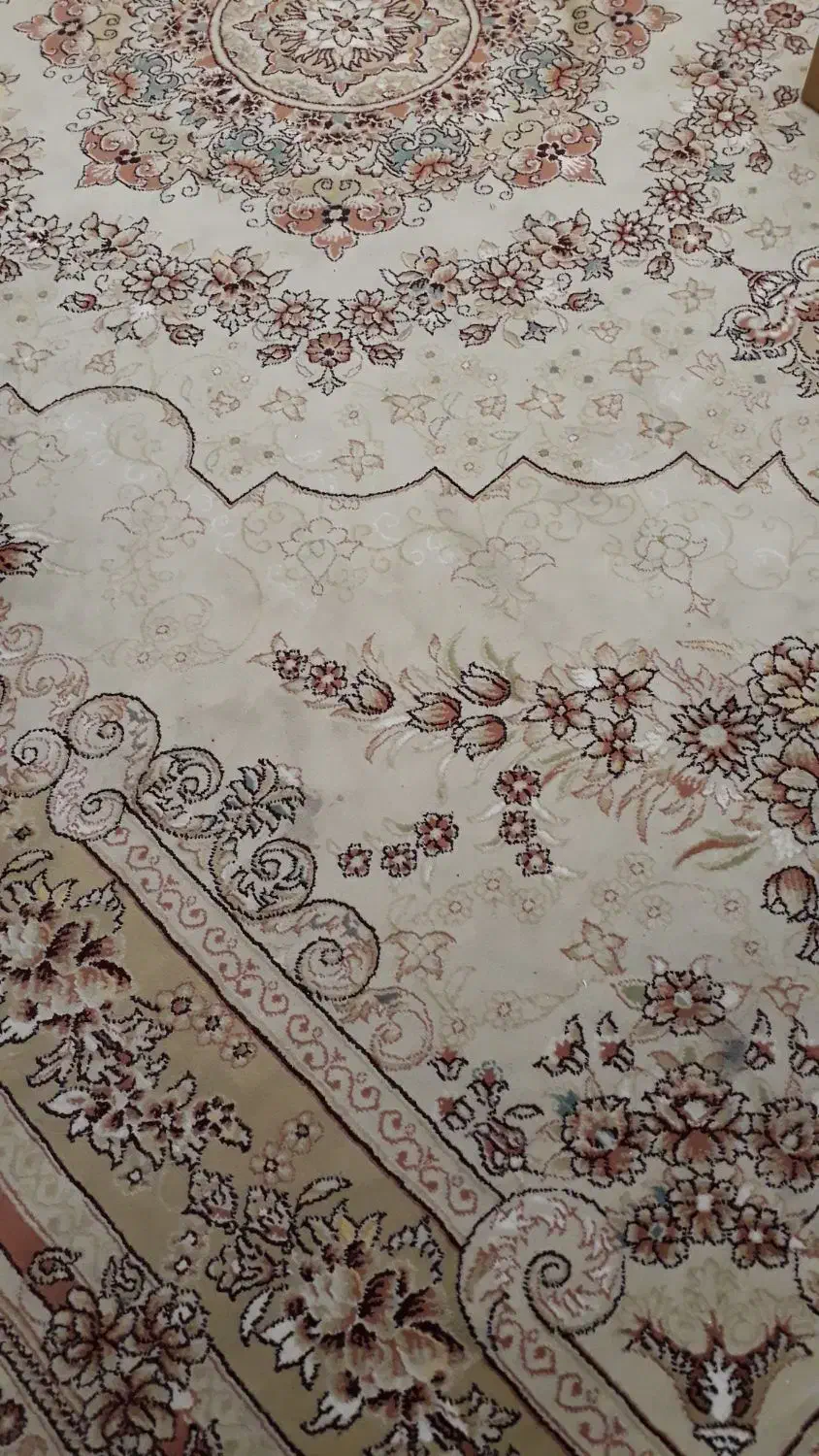 قالی ۱۲متری|فرش|مشهد, امام رضا (ع)|دیوار