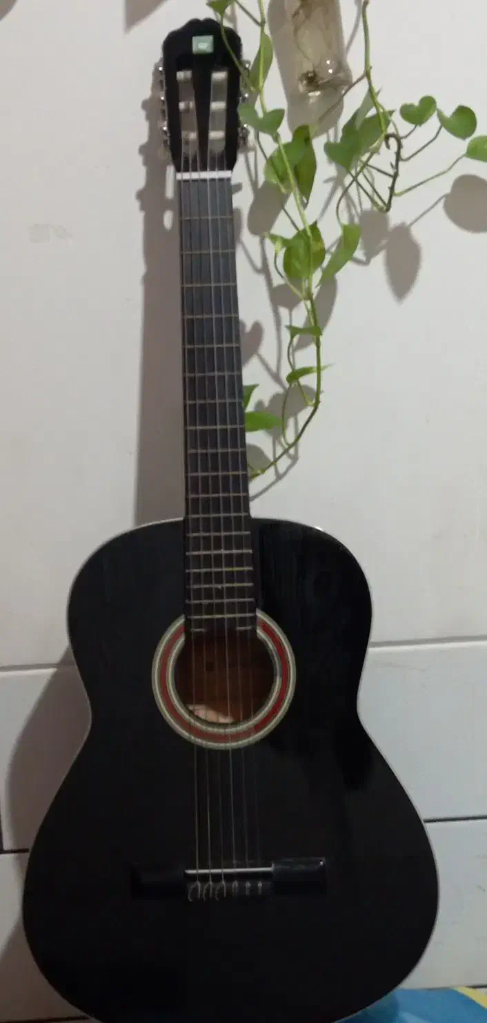 فروش فوری گیتار دیاموند (Diamond) مدل الماسی مشکی|گیتار، بیس، امپلیفایر|فسا, |دیوار