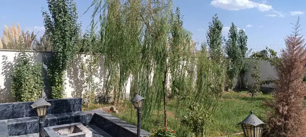 سفرخونه|کافی‌شاپ و رستوران|تاکستان, |دیوار
