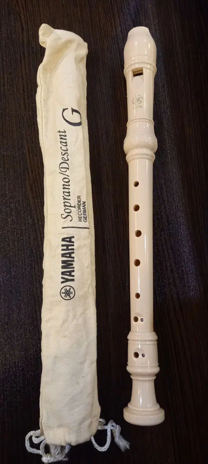 فلوت یاماهااصلی|سازهای بادی|اصفهان, بهارستان|دیوار