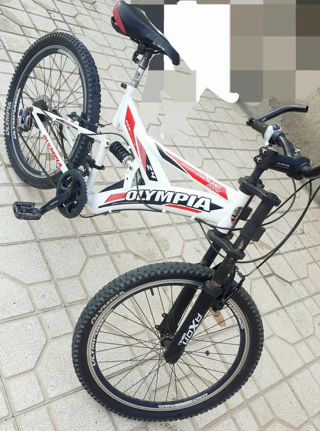 دوچرخه کوهستان المپیا 24  تایتانیک TITANIC کد 2037|دوچرخه، اسکیت، اسکوتر|سبزوار, رباط|دیوار