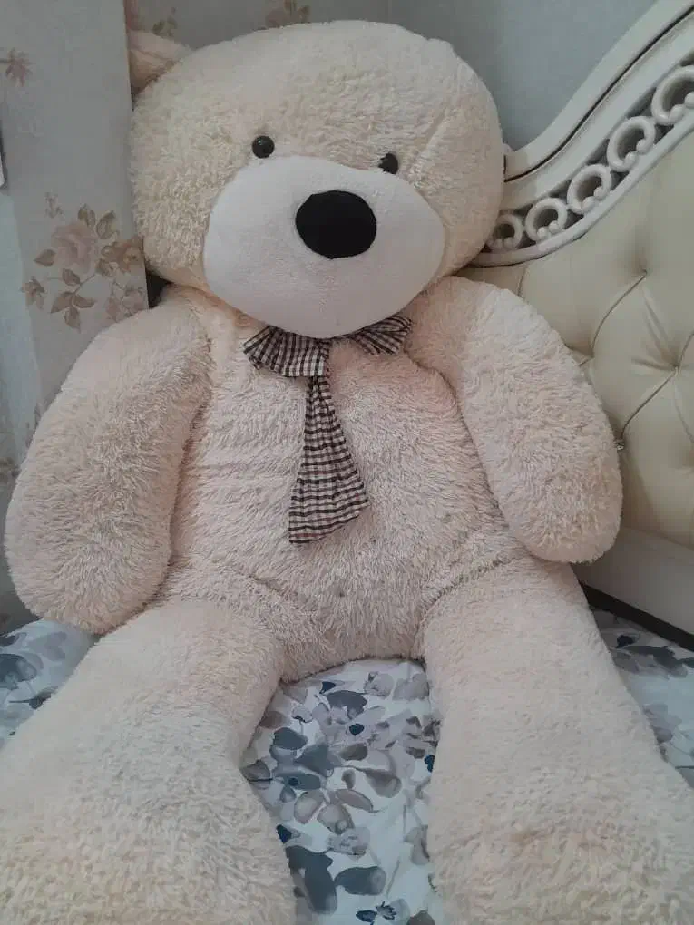 خرس بزرگ|اسباب‌بازی بچه|مشهد, الهیه|دیوار