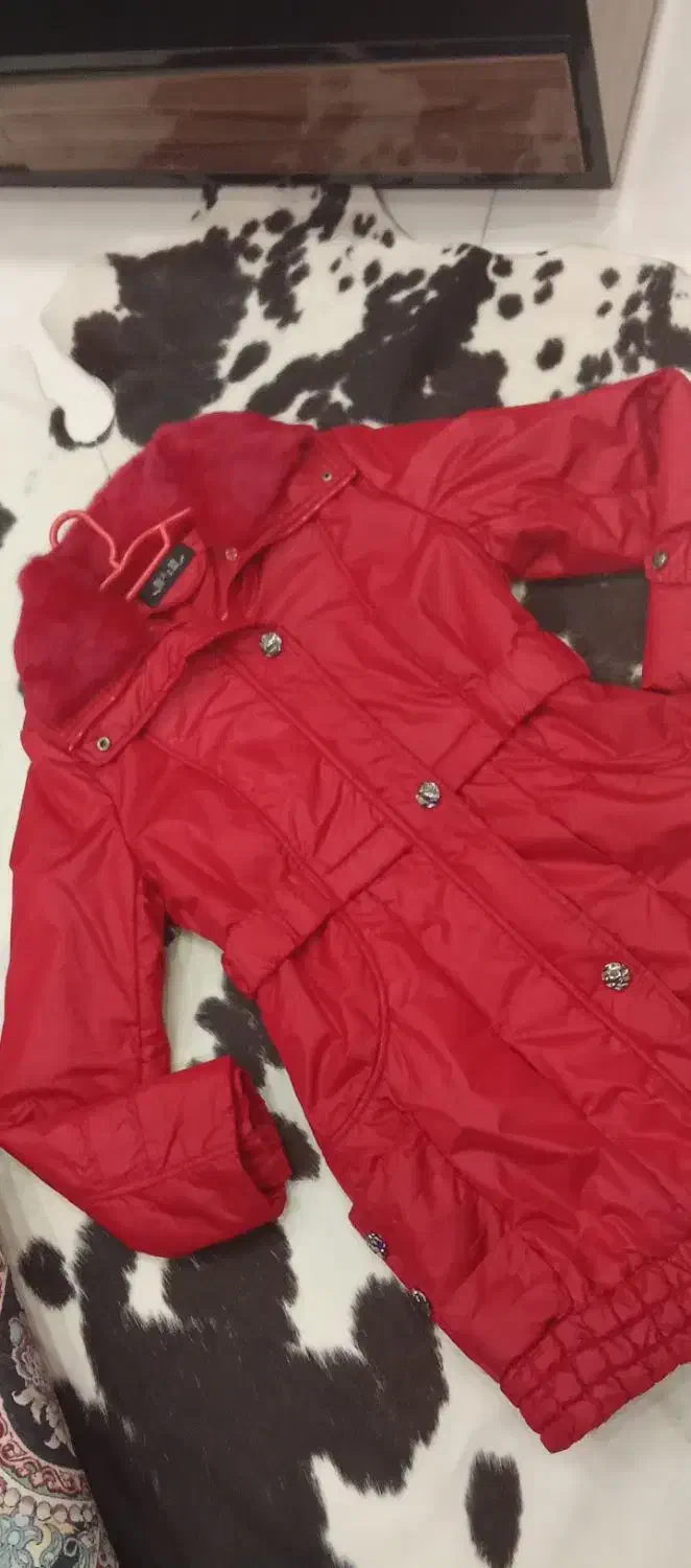 کاپشن خارجی و گپ بافت نو اورجینال|لباس|فردیس, منظریه|دیوار