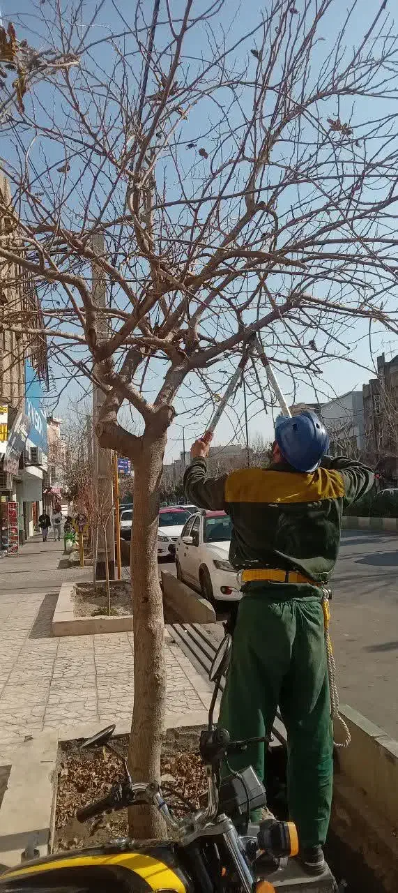 انجام خدمات باغبانی باغچه، هرس، کاشت|خدمات باغبانی و درختکاری|قم, وادی السلام|دیوار