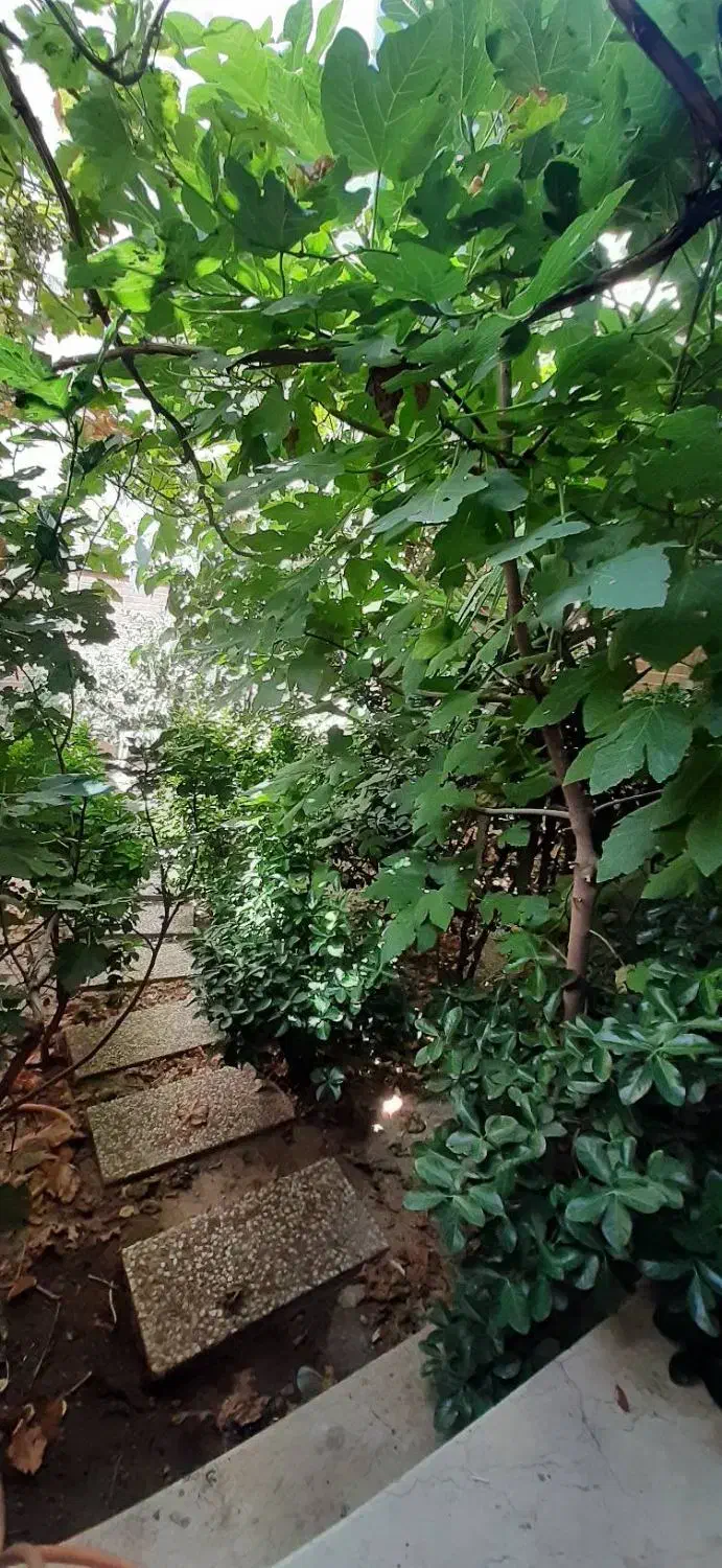 اجاره 52 متری سلمان فارسی