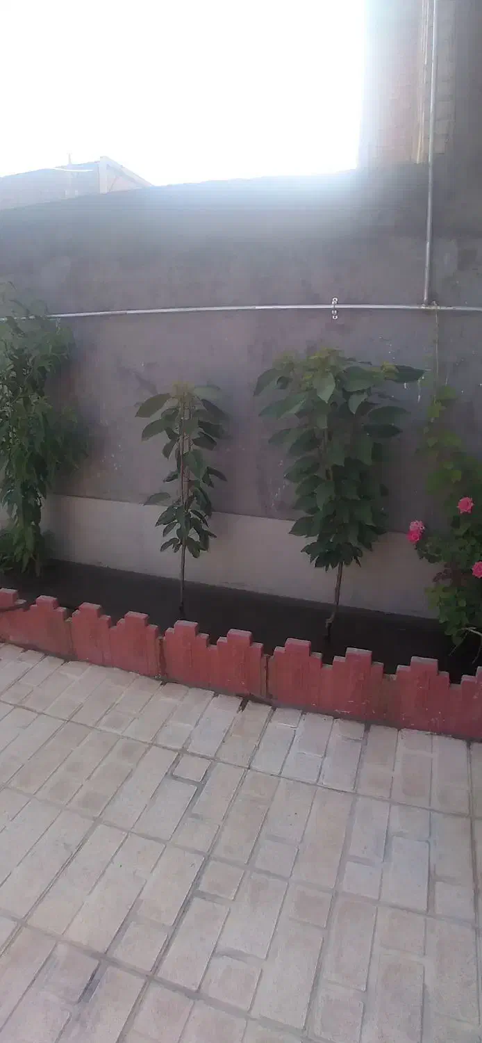 خانه ویلایی درارجمندی|فروش خانه و ویلا|مشگین شهر, |دیوار