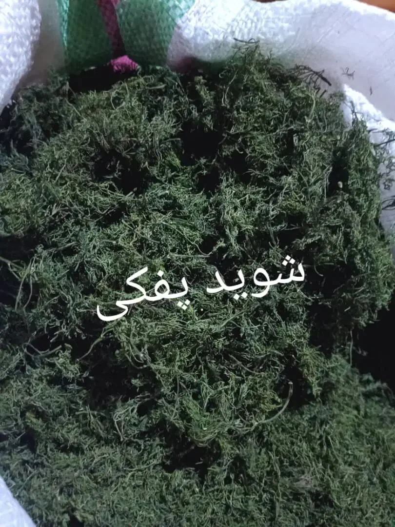 فروش محصولات خانگی|خوردنی و آشامیدنی|شیراز, گل سرخ|دیوار