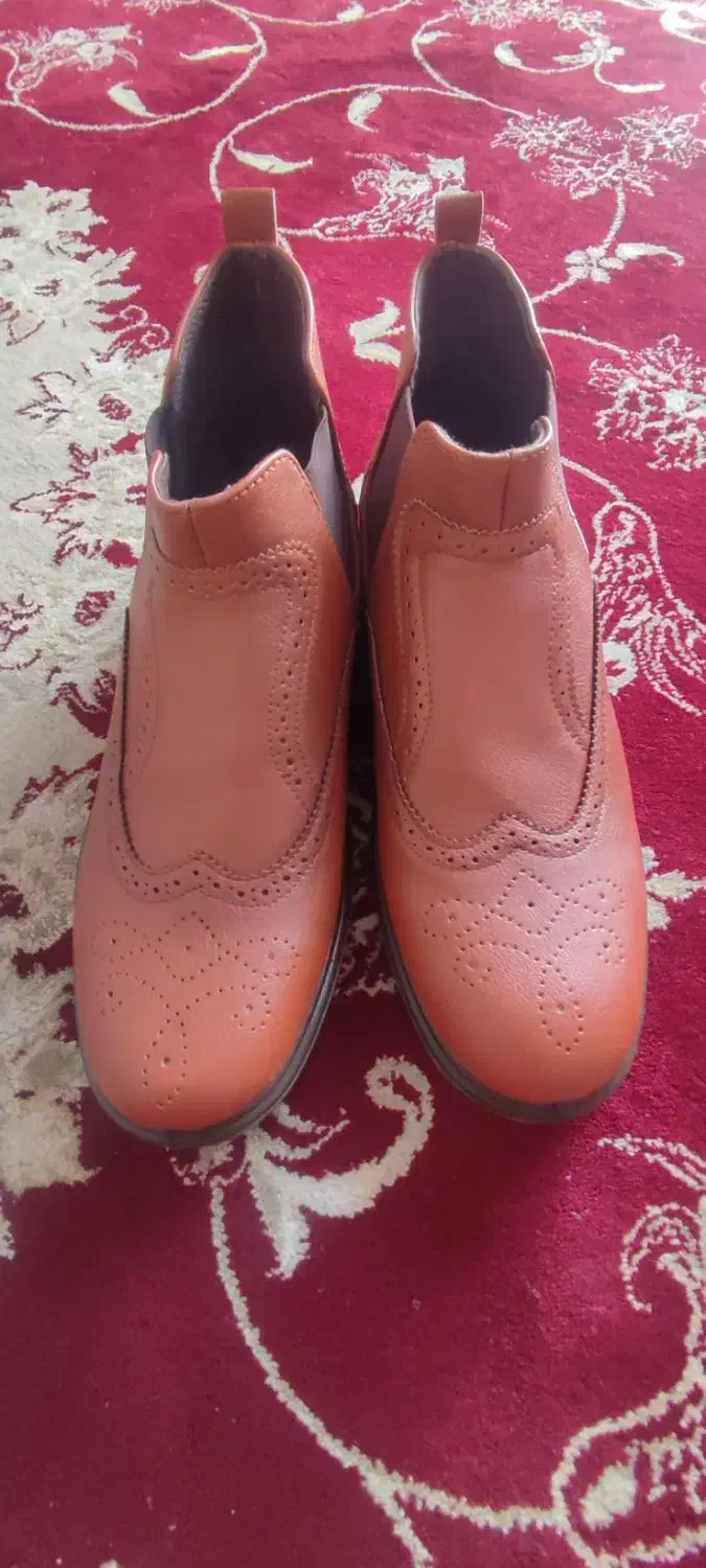 یک جفت کفش مجلسی چرم گاوی و یک جفت کفش مشکی زنانه|کیف، کفش، کمربند|فلاورجان, |دیوار