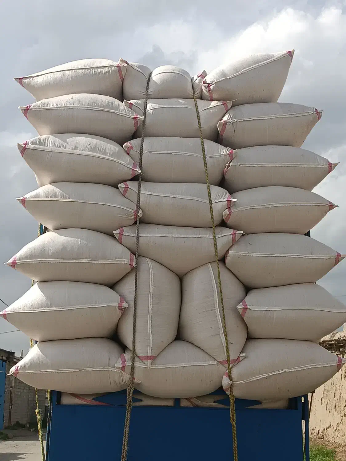 کاه درجه یک پیرانشهر|لوازم جانبی حیوانات|خوی, |دیوار