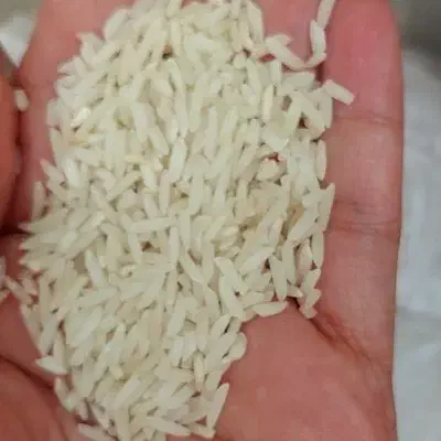 برنج هاشمی درجه یک|خوردنی و آشامیدنی|رشت, حومه رشت|دیوار