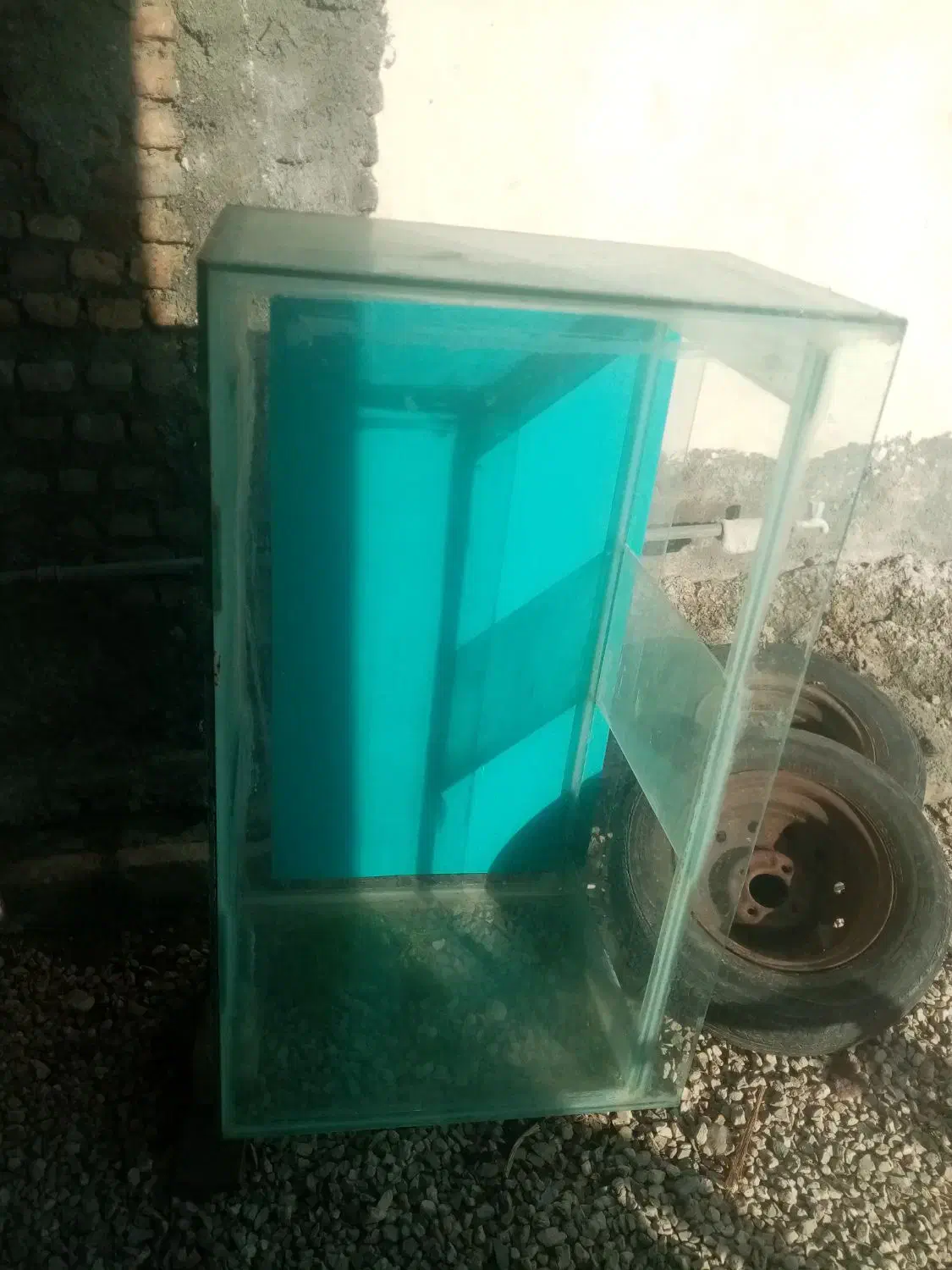 آکواریوم|ماهی|گرگان, |دیوار