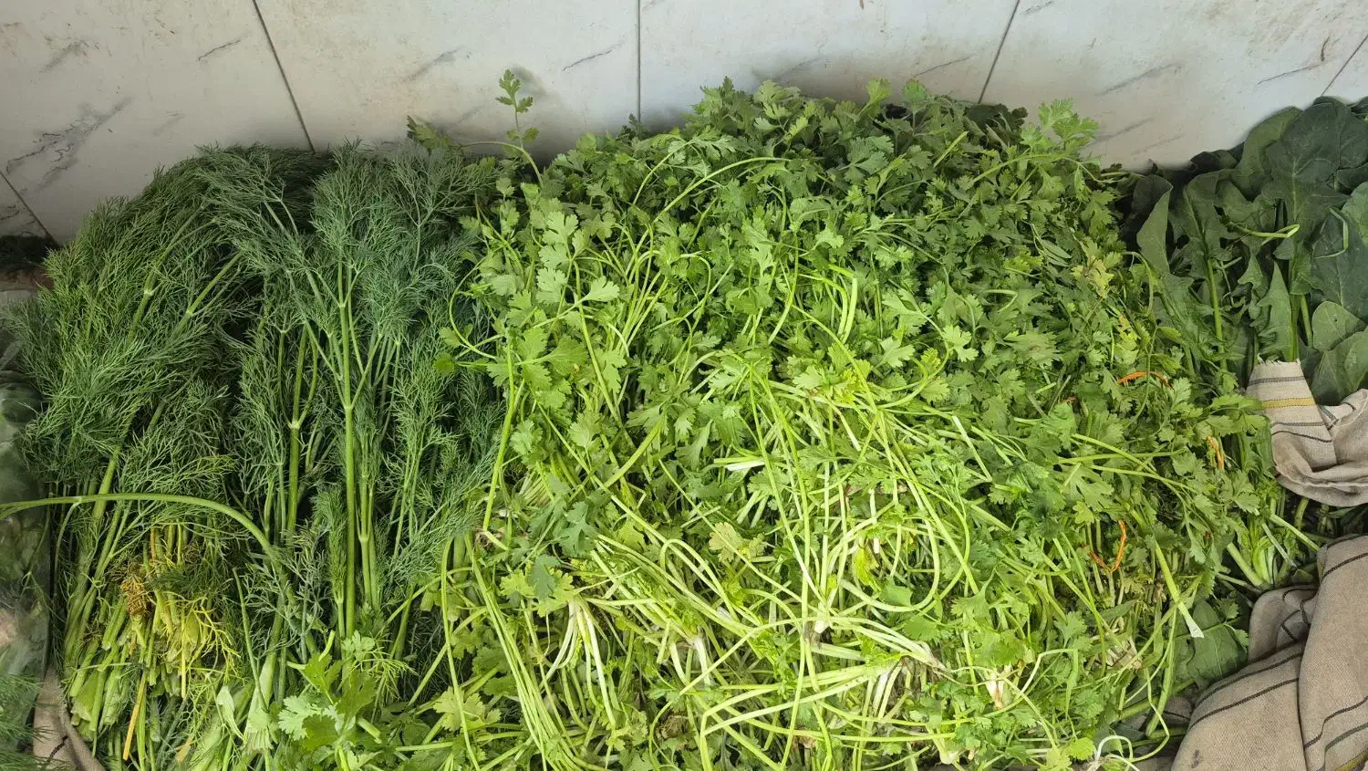 سبزی خورشتی خیرآباد|خوردنی و آشامیدنی|فسا, |دیوار