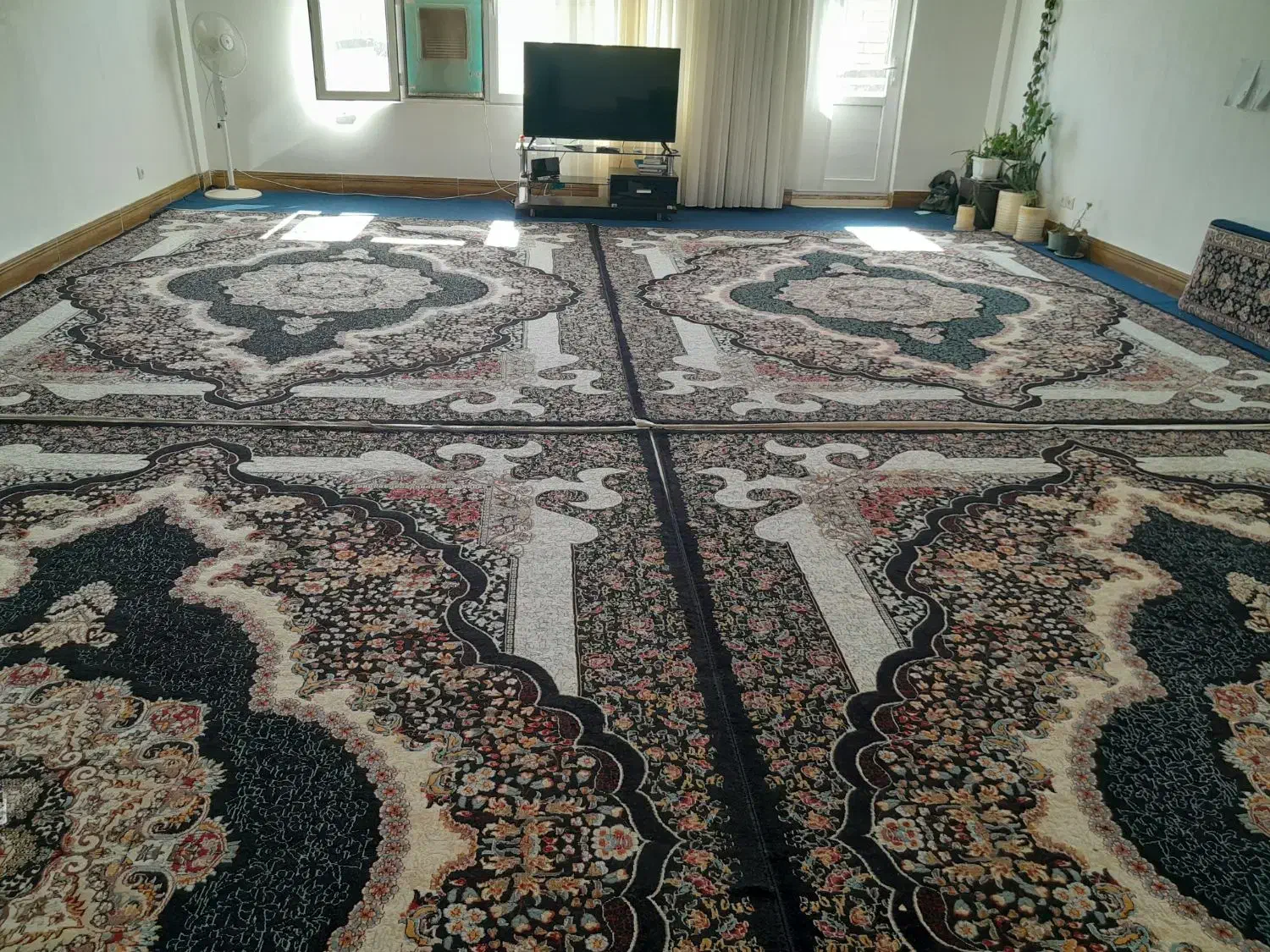 پشتی و فرش|فرش|سرپل ذهاب, |دیوار