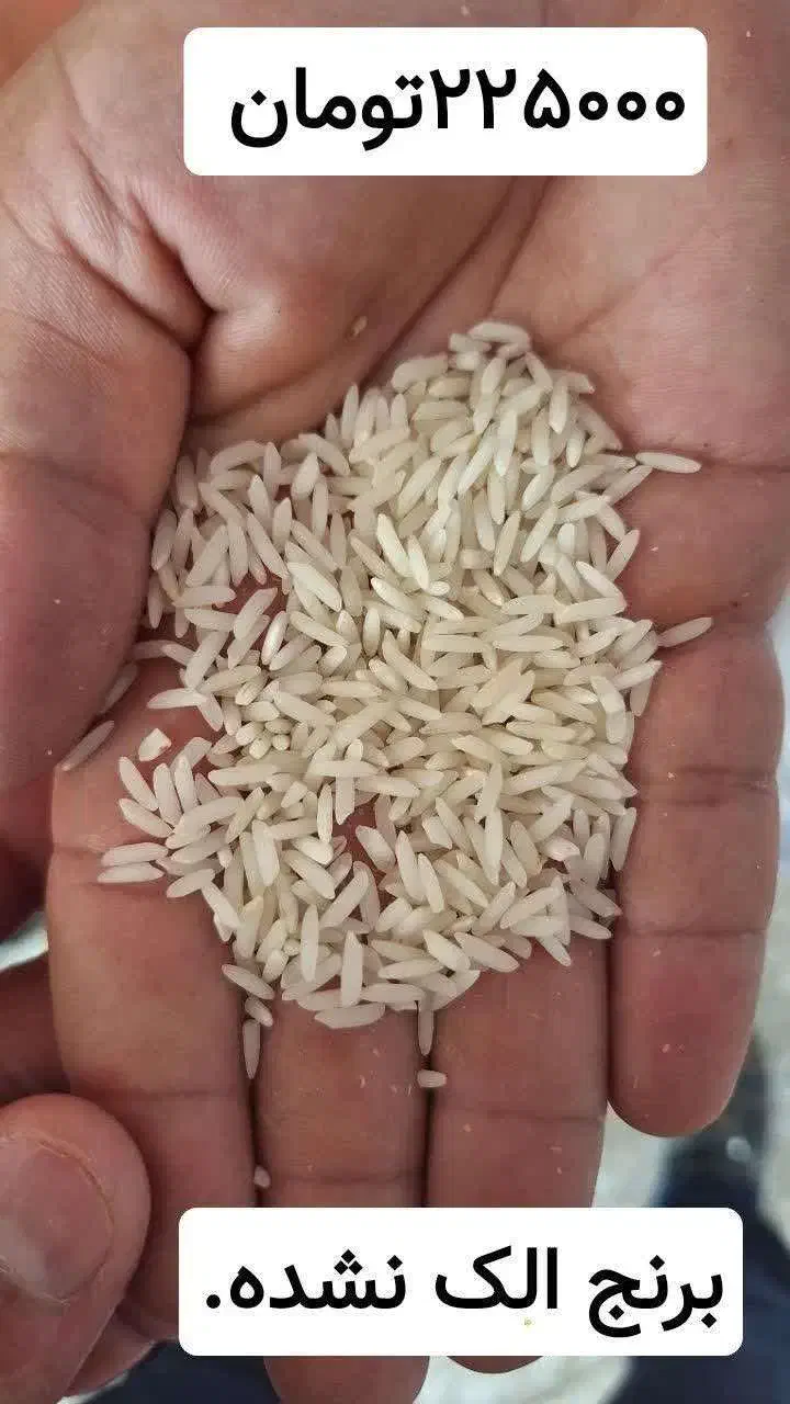 فروش برنج درجه یک|خوردنی و آشامیدنی|آباده, |دیوار
