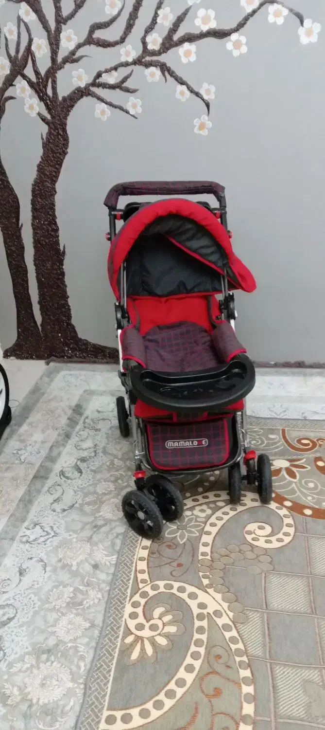 سیسمونی|کالسکه و لوازم جانبی|رباط‌کریم, الارد|دیوار