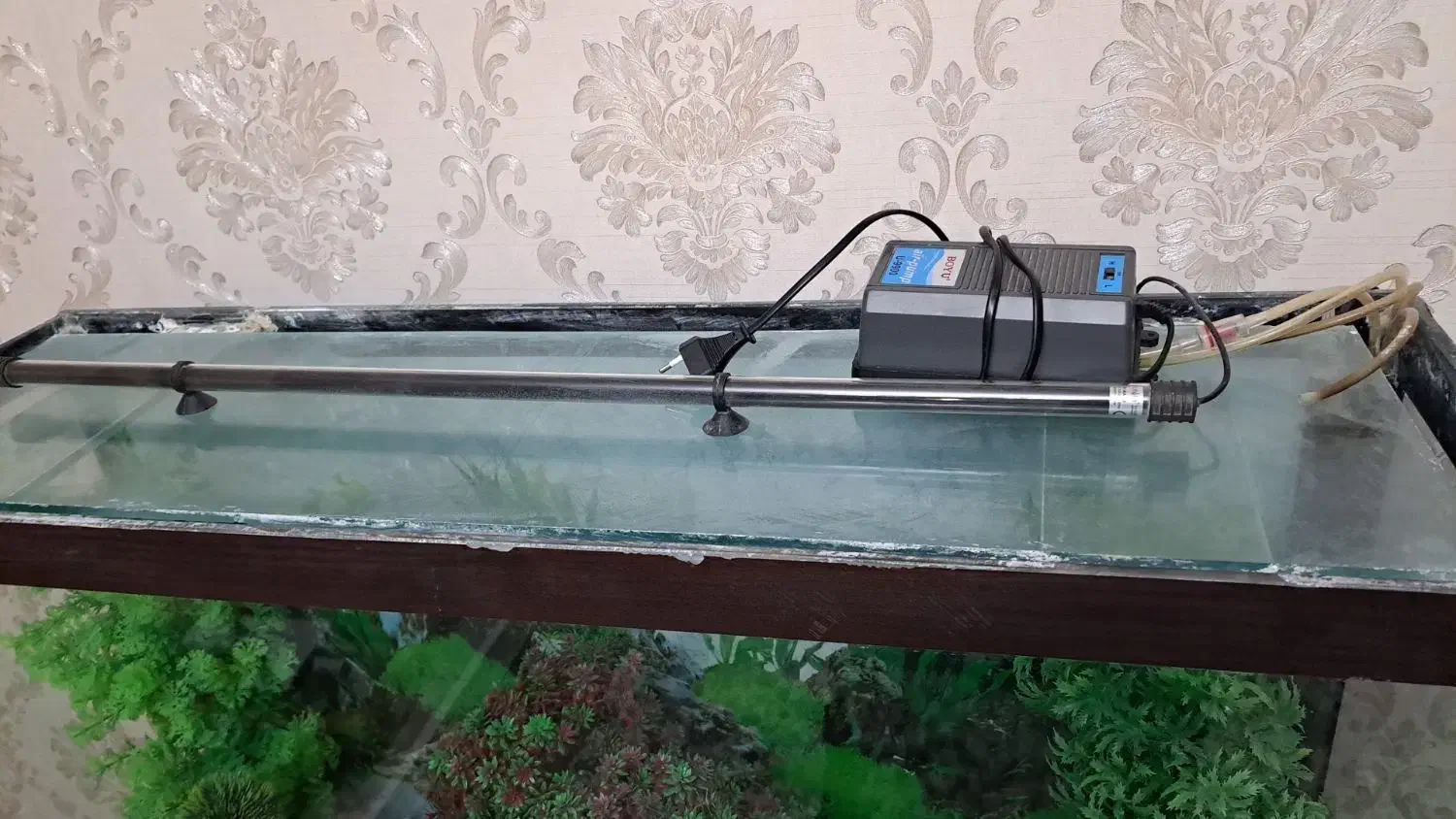 اکواریوم|ماهی|الوند, |دیوار