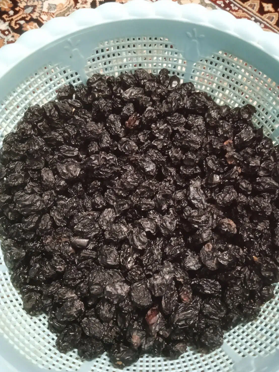 مویز انگور دیمی|حراج|سردشت, |دیوار