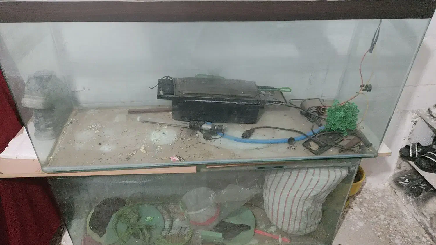 اکواریم شرکتی|ماهی|قم, امامزاده ابراهیم|دیوار