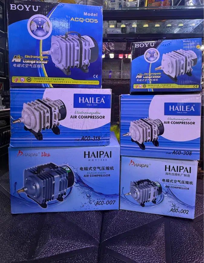 (آکواریوم فرید)|ماهی|اردبیل, |دیوار