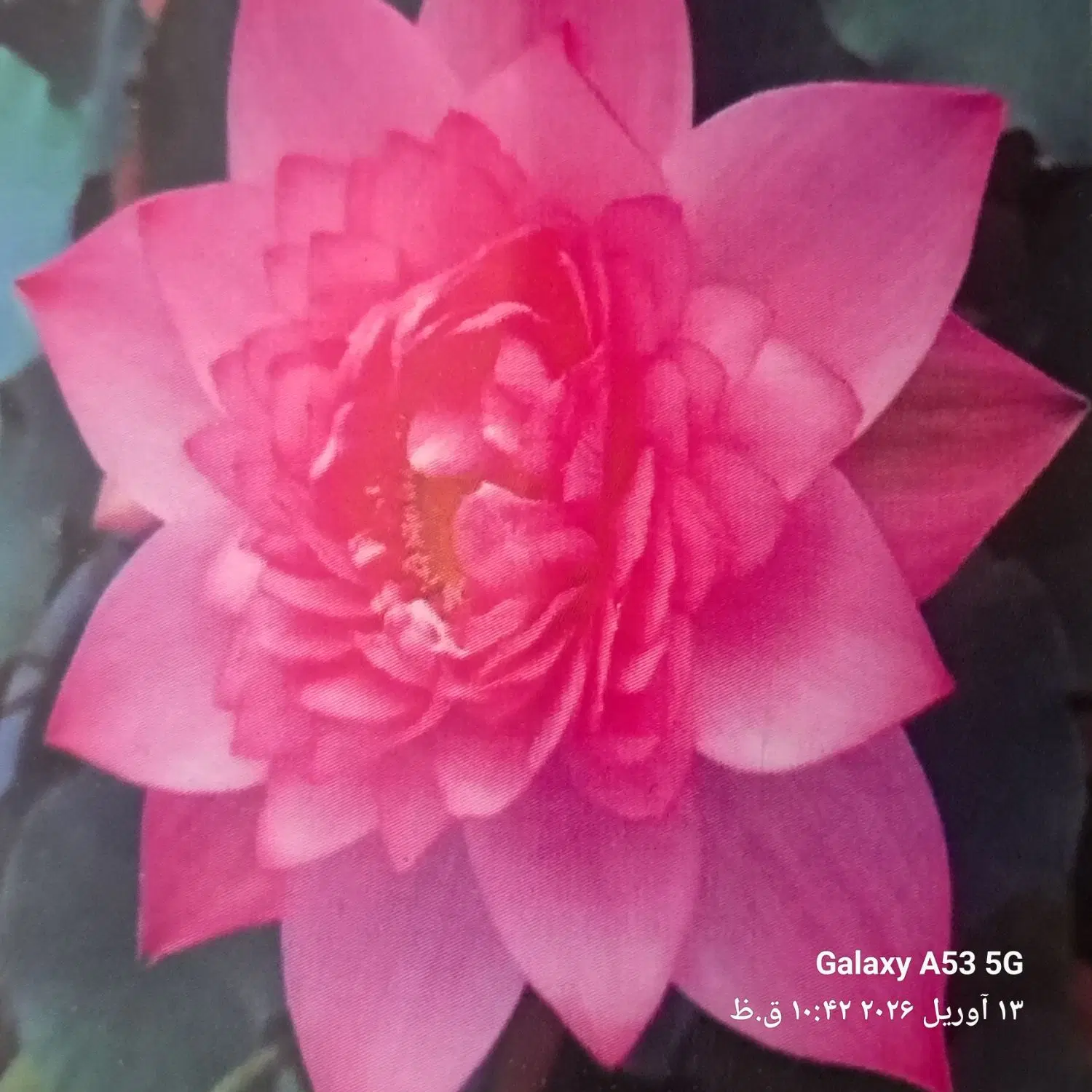 سیم کارت۹۱۲|سیم‌کارت|تهران, میدان میوه و تره‌بار مرکزی|دیوار