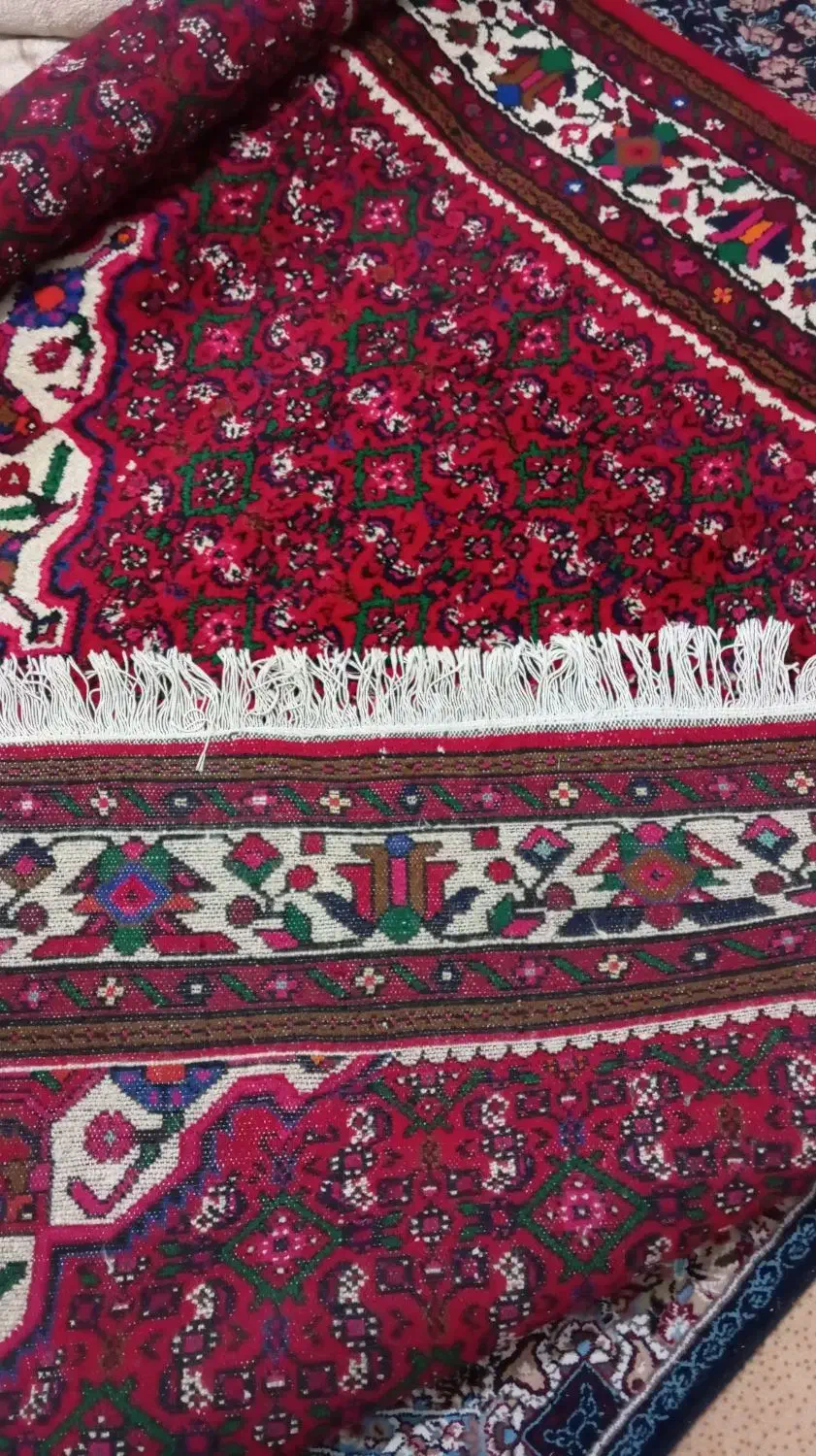 فرش ازندریان،،|فرش|بهار, |دیوار