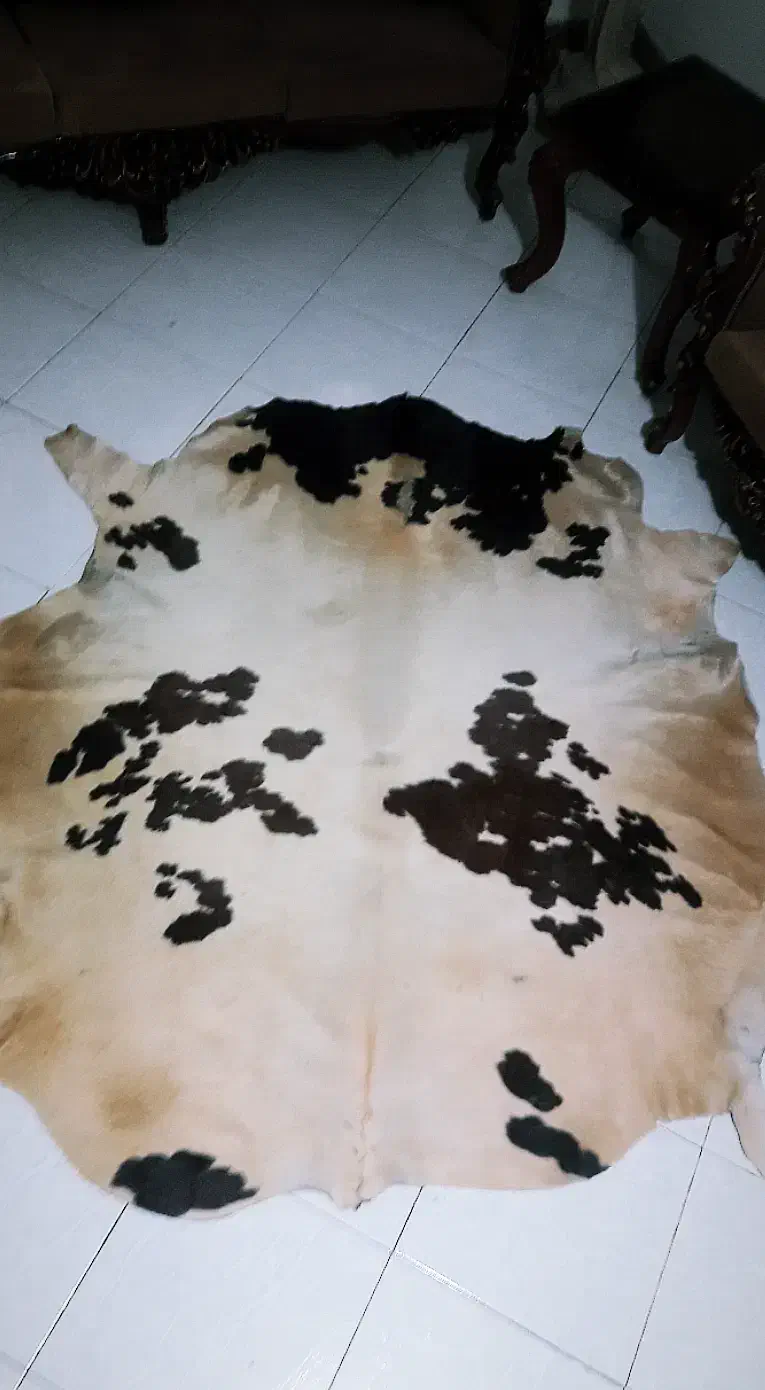 پوست چرم  گاو|فرش|تهران, بنیهاشم|دیوار