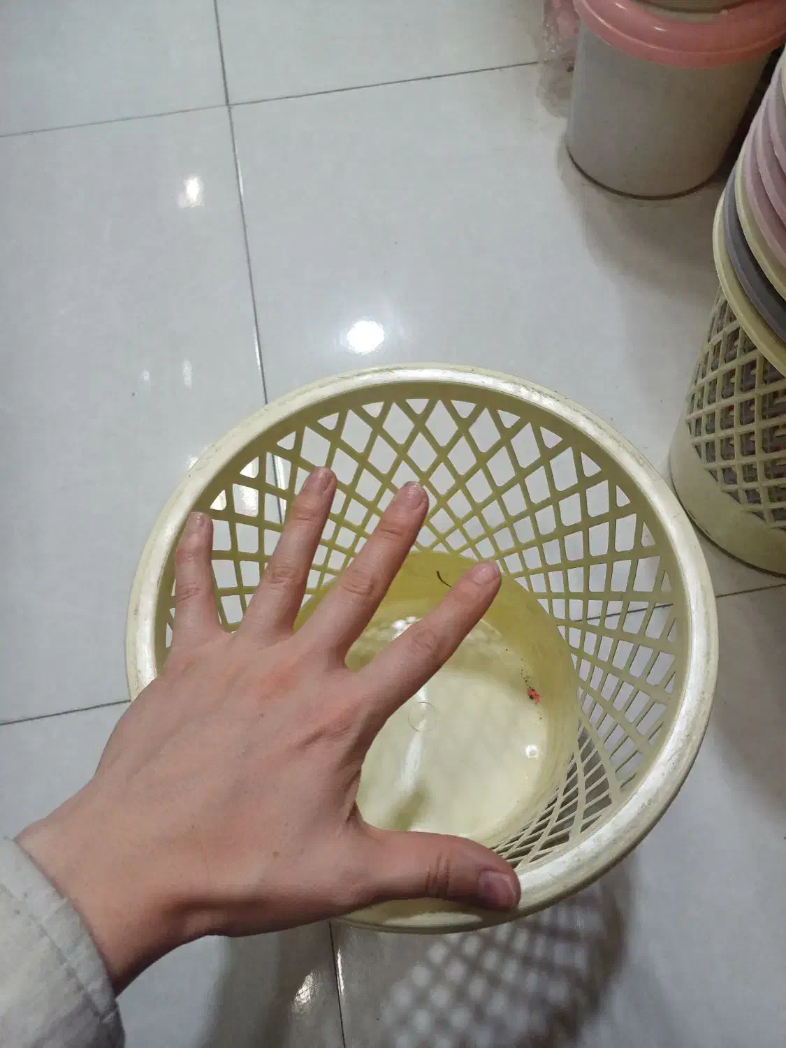 سبد پلاستیک سطل حراجی|ظروف نگهدارنده، پلاستیکی، یکبارمصرف|مشهد, انقلاب|دیوار