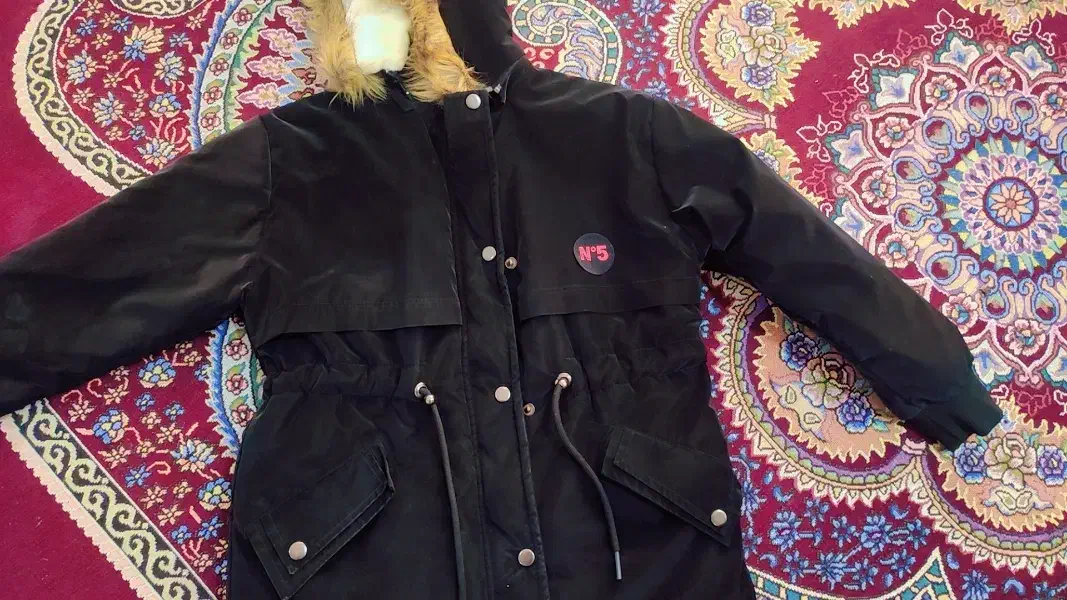 پالتو زمستانی|لباس|اهواز, اهواز|دیوار