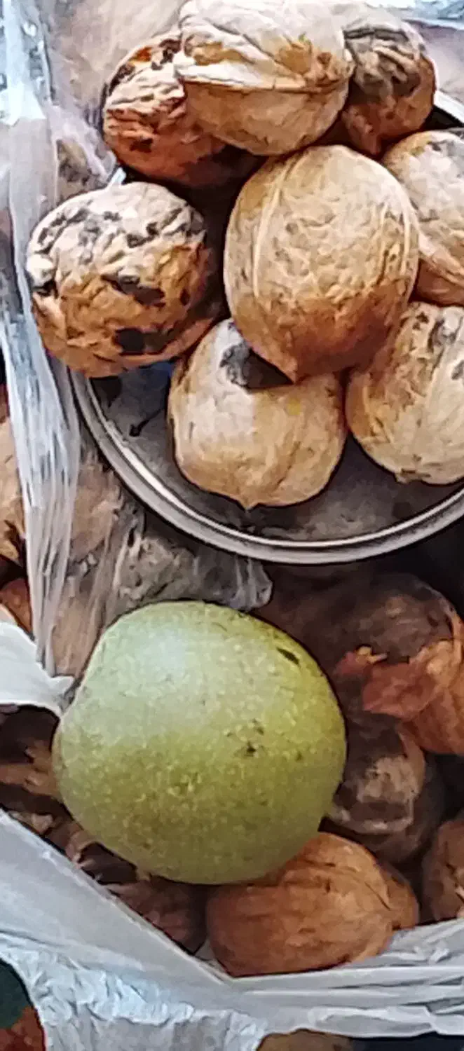 گردو خشک|خوردنی و آشامیدنی|اندیکا, |دیوار