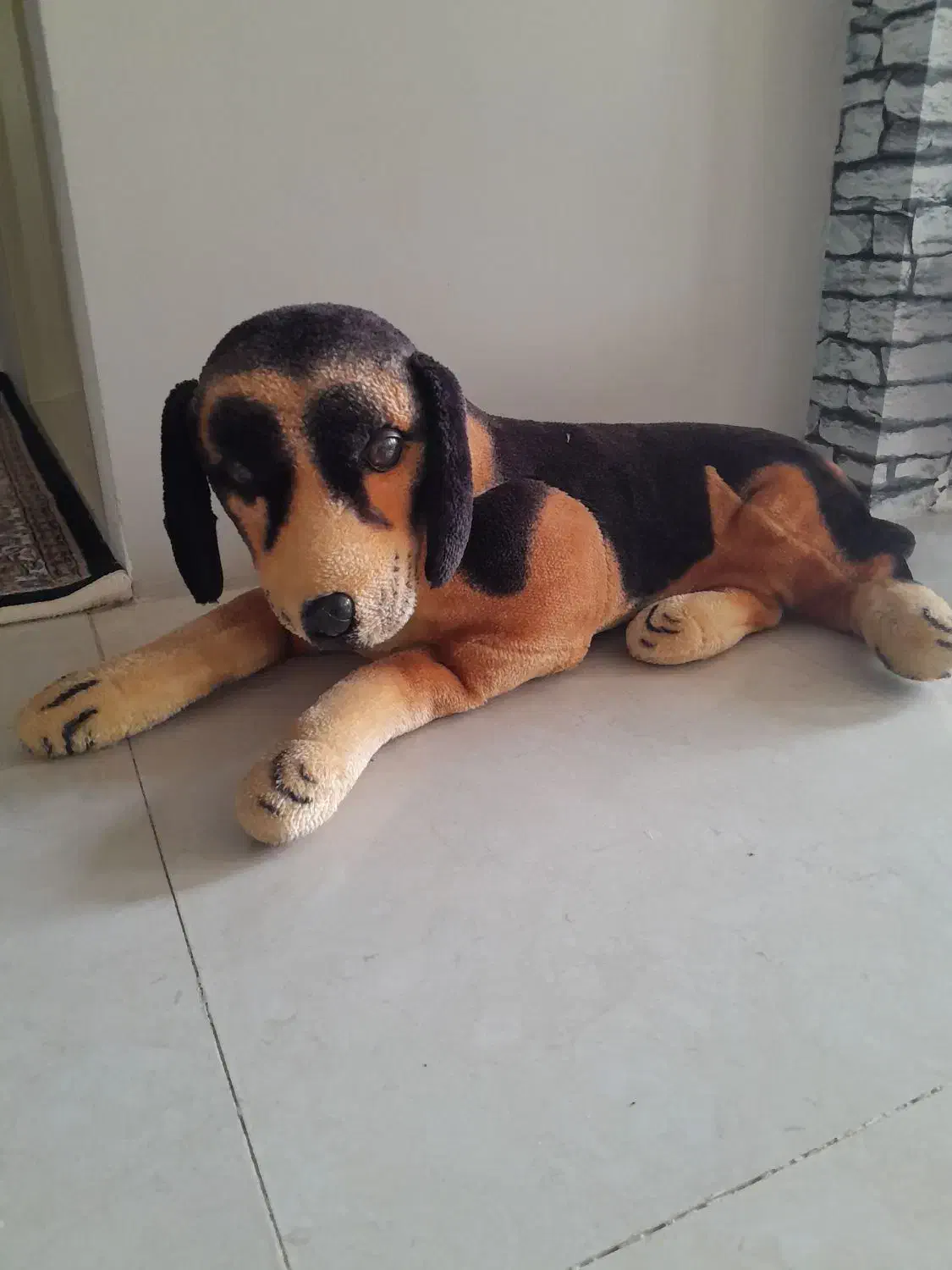 تعدادی اسباب بازی|اسباب‌‌بازی|خوی, |دیوار