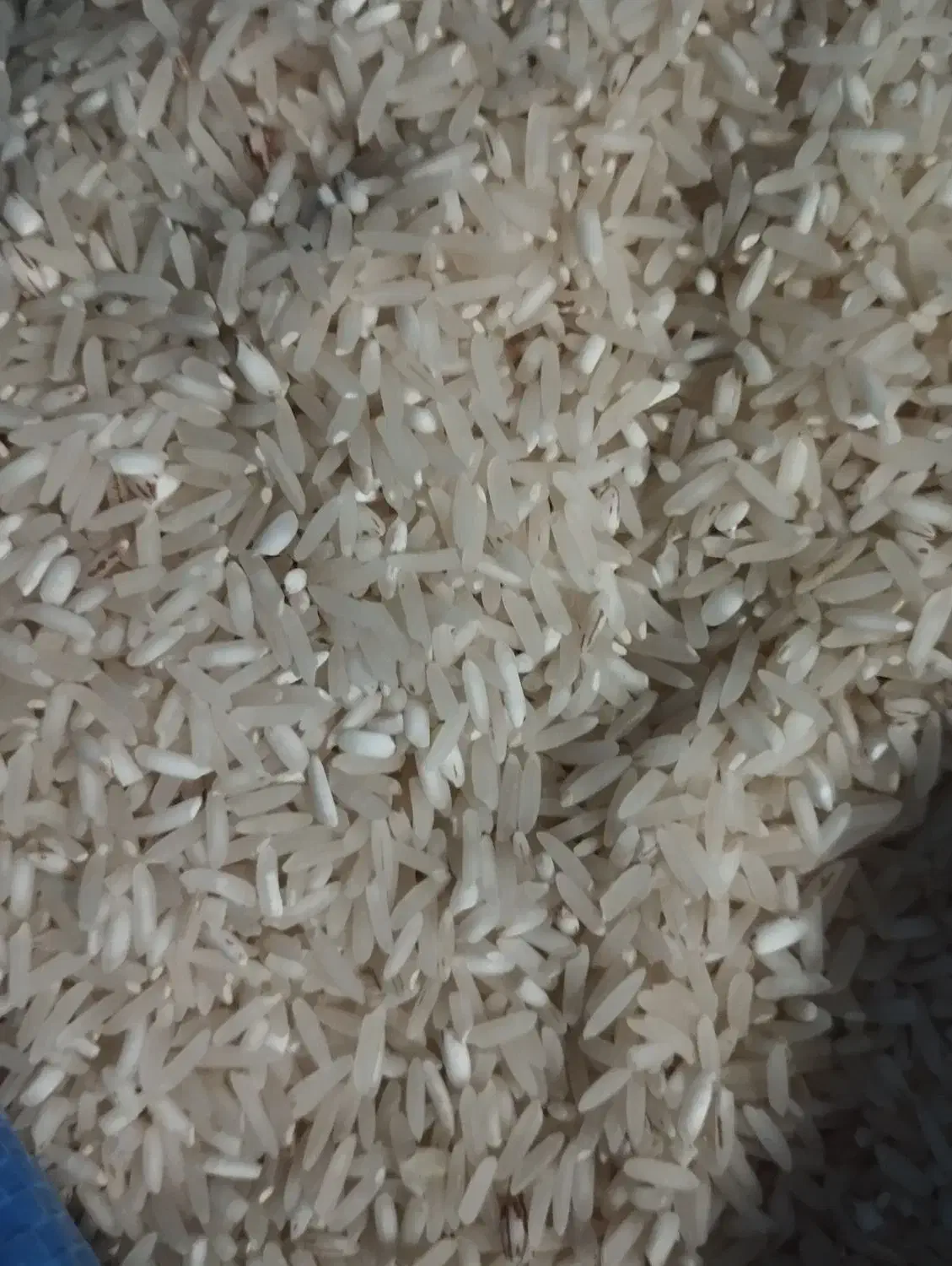برنج تارم برنج تارم تاز اسیاب کردم ۱۹۵|خوردنی و آشامیدنی|دهدشت, |دیوار
