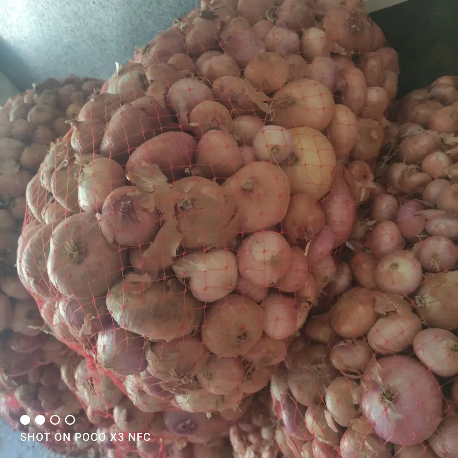 پیاز سپیدان|عمدهفروشی|همایجان, |دیوار