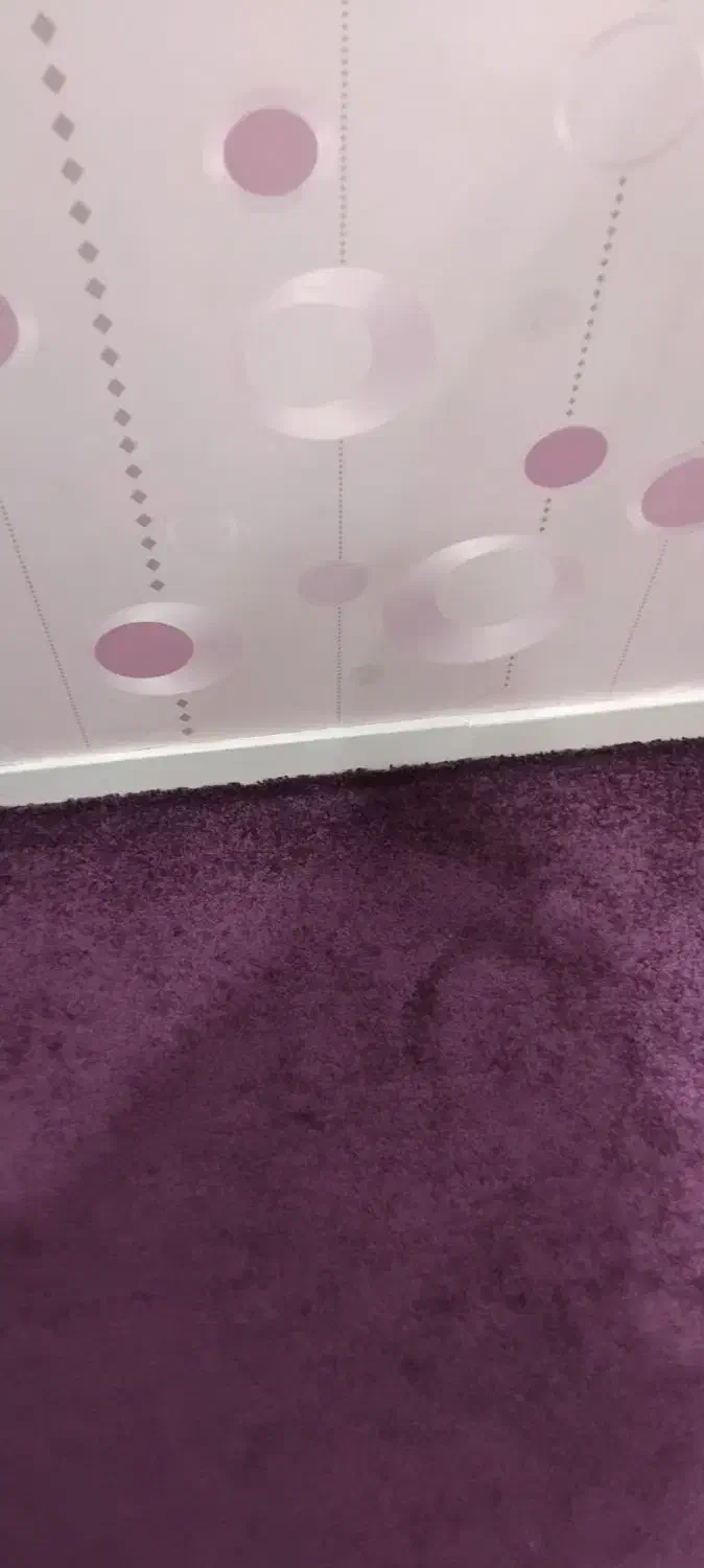 پالاز|موکت|مسجد سلیمان, |دیوار