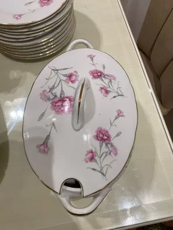 ظروف چینی گل میخکی|ظروف سرو و پذیرایی|مشهد, هنرستان|دیوار