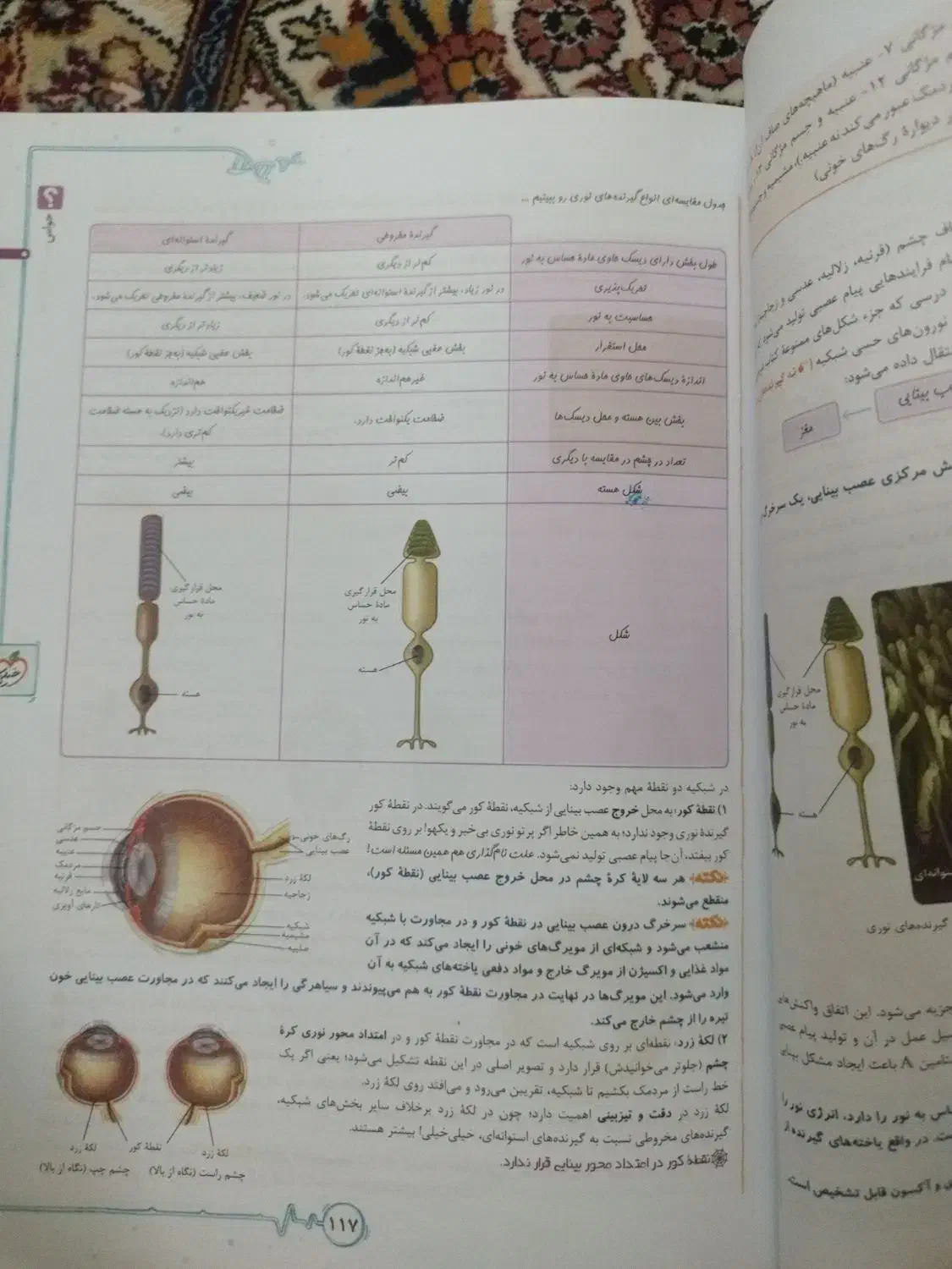 کتاب کنکور وکمک درسی زیست شناسی 2 خیلی سبز|کتاب و مجله آموزشی|هشتگرد, هشتگرد قدیم|دیوار