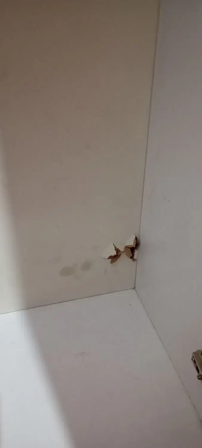 کمد بچه|اسباب و اثاث بچه|همدان, |دیوار