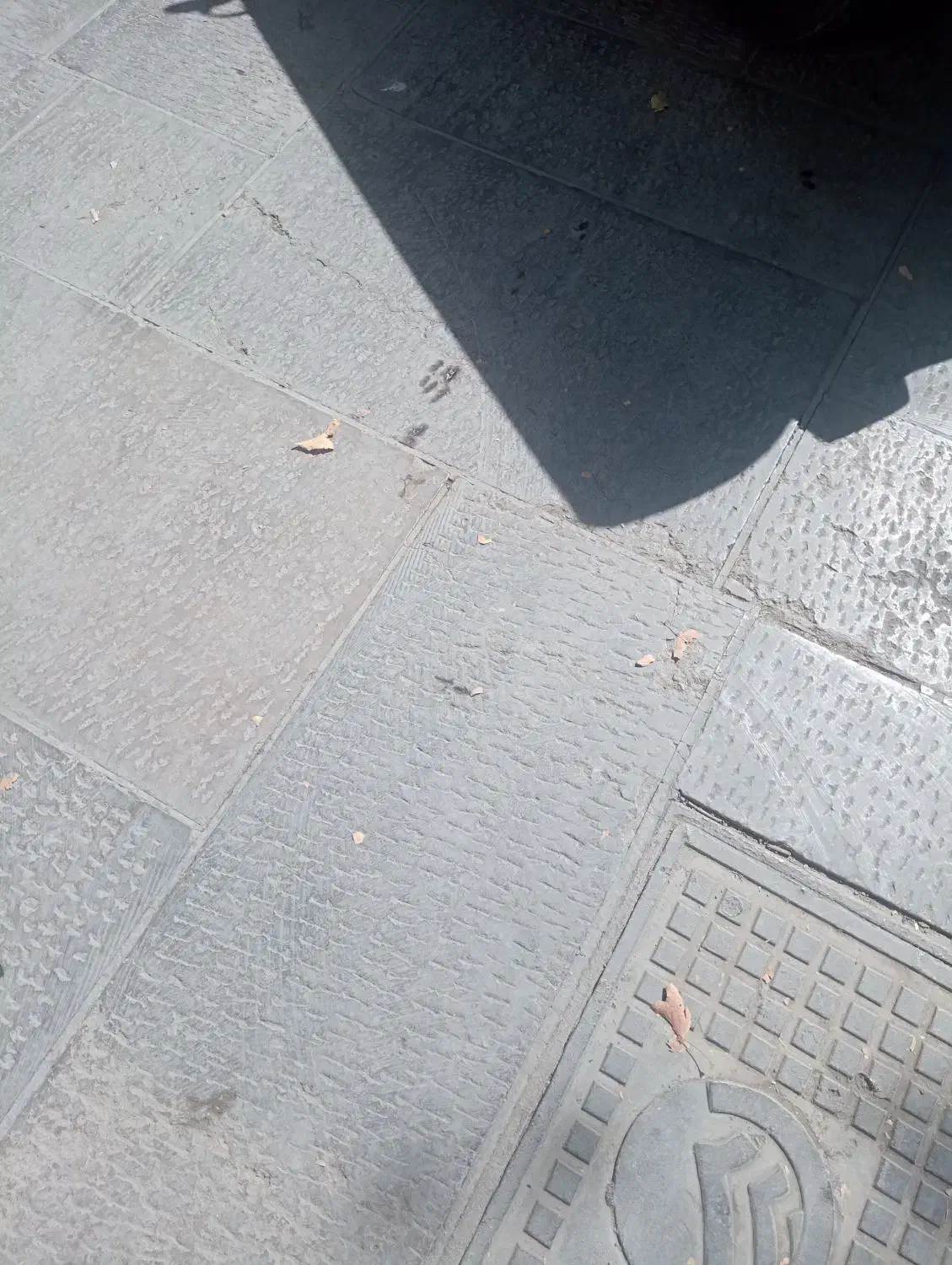 سیم کارت|سیمکارت|اصفهان, ناژوان|دیوار