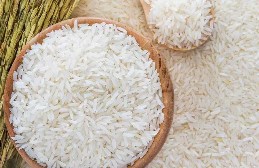 برنج شمال به شرط پخت و کارشناسی|خوردنی و آشامیدنی|نسیم‌شهر, |دیوار