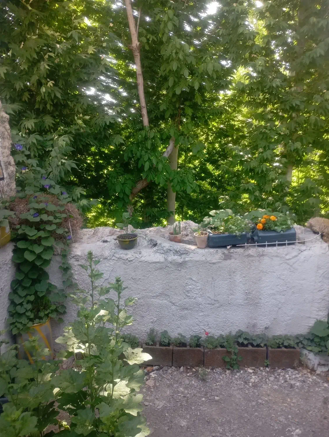 فروش منزل ویلایی در باغشاد محله نوگوران|فروش خانه و ویلا|فولادشهر, باغشاد|دیوار