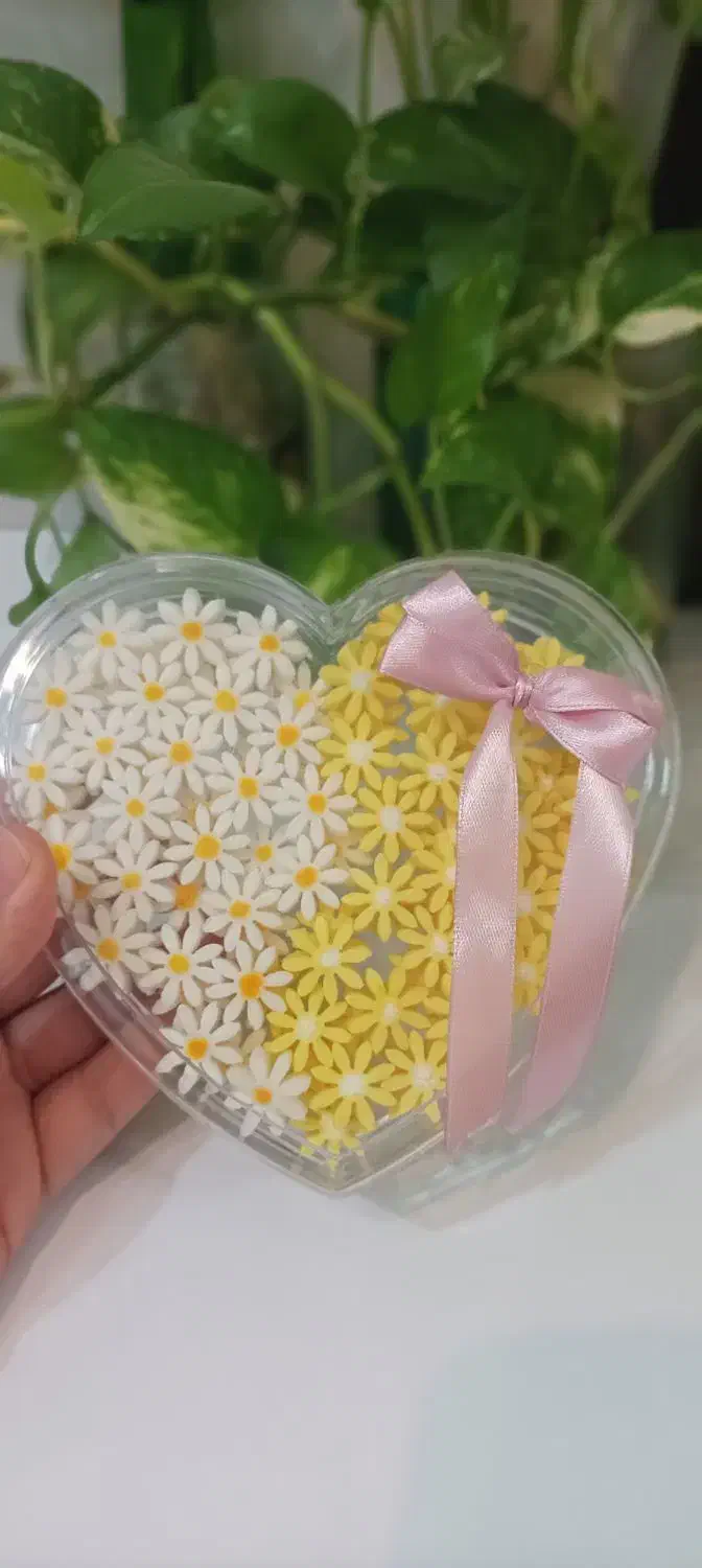 یلدا نزدیکه|خوردنی و آشامیدنی|قم, شاه سید علی|دیوار