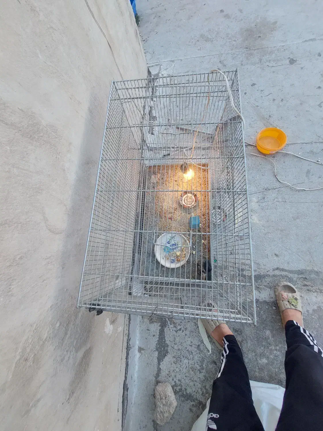 قفس|لوازم جانبی حیوانات|اسلامشهر, مظفریه|دیوار